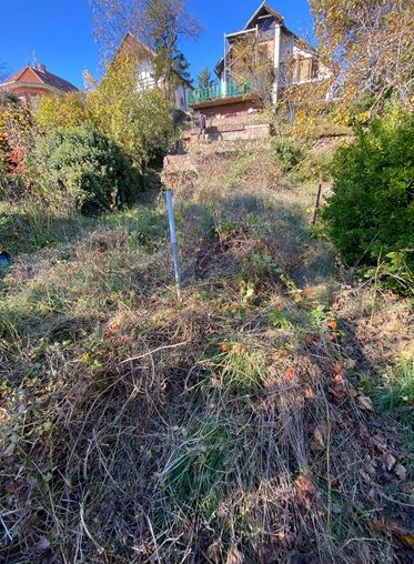 Kertépítés Kertgondozás Balatonfüreden