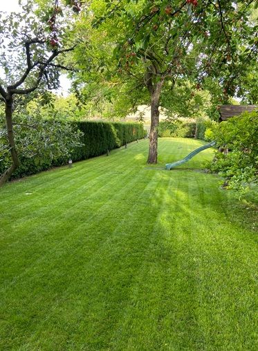 Kertépítés Kertgondozás Balatonfüreden